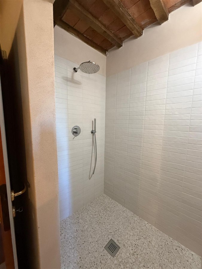 Walk-in shower with a rainfall shower head and exposed timber ceiling