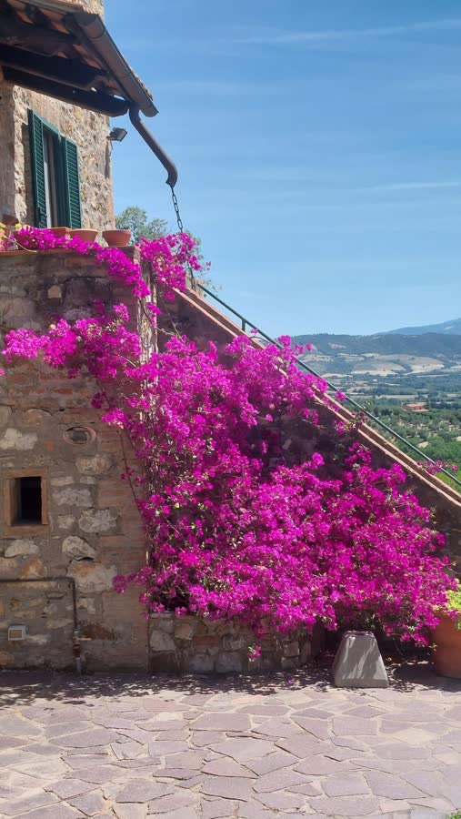 Bright pink bougainvillea against the stone staircase, with the valley beyond