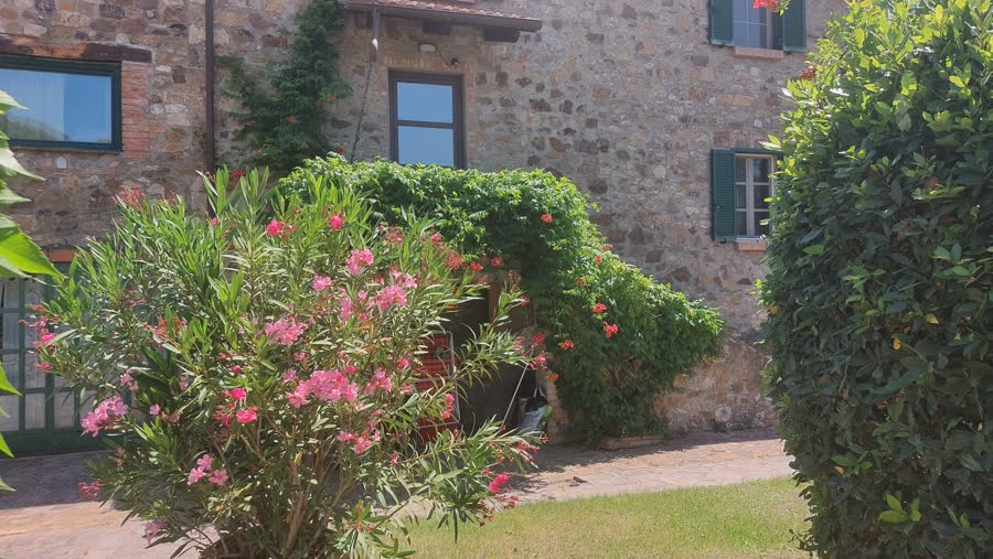 The stone house seen across the garden with oleander in flower