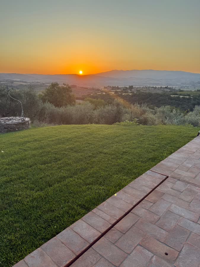 The sun setting over the hills beyond the lawn and olive trees